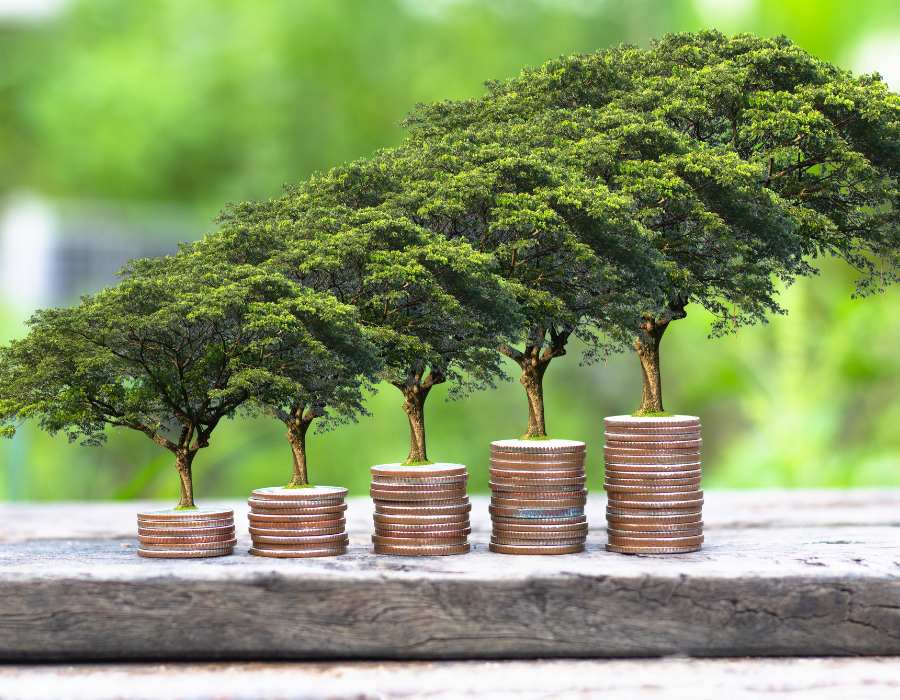 Building Resilient Portfolios with Diversified Solutions at Harbour Investment Partners