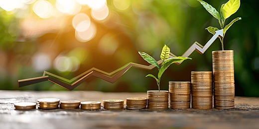 Navigating Market Volatility with Harbour Investment Partners’ Strategic Risk Management