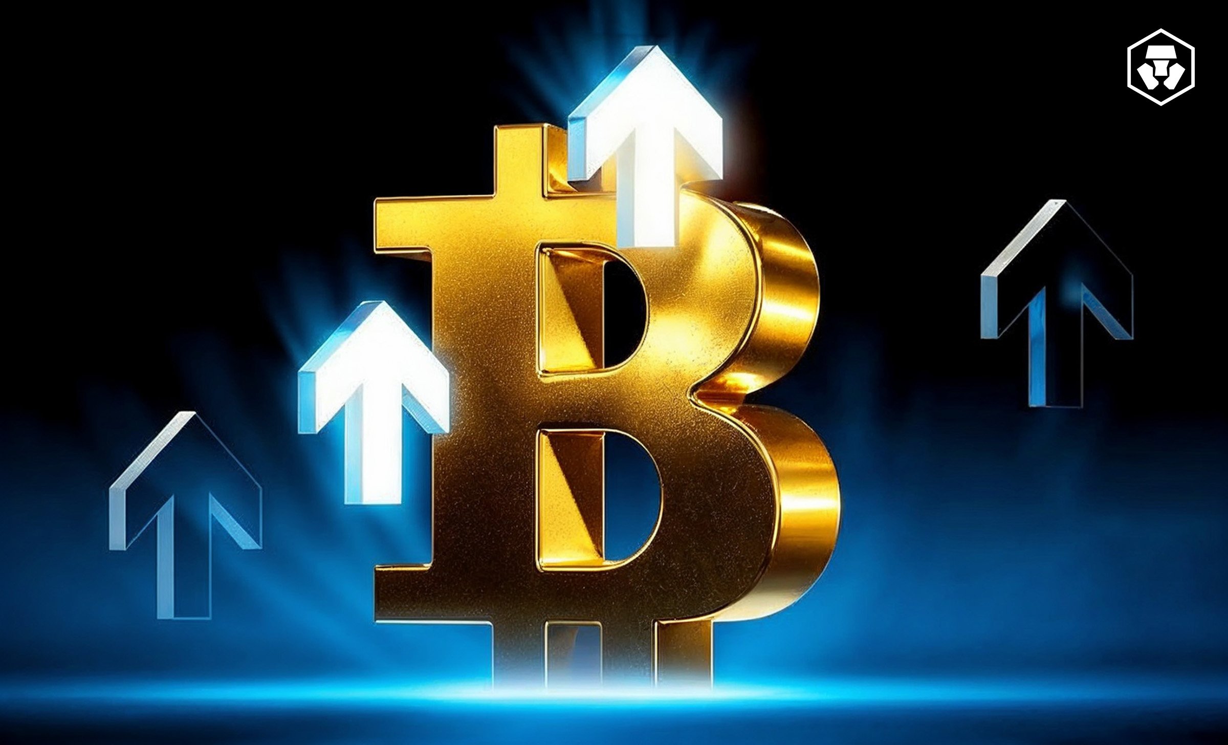 Warum Peller Trading die Plattform ist, über die jeder ernsthafte Trader spricht