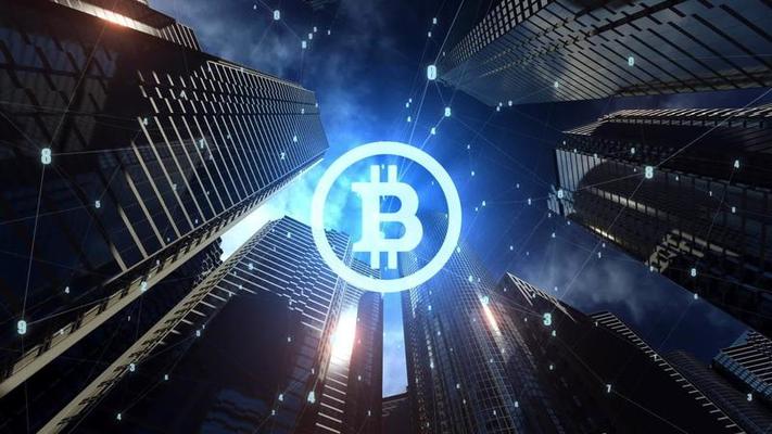 Diversifying Portfolios: How Pure Vision Trader Helps Clients Invest Wisely in Crypto Markets