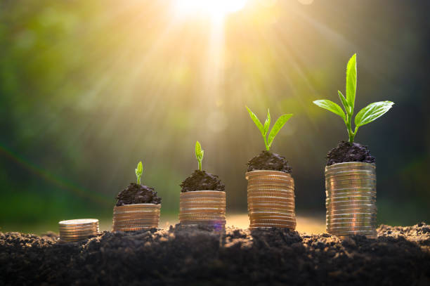 Private Equity Opportunities with Harbour Investment Partners