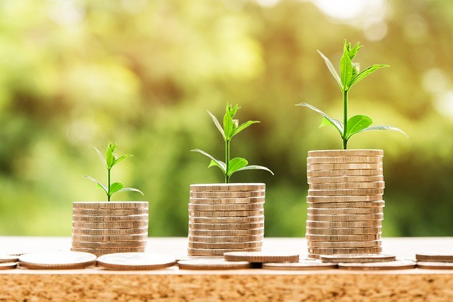 Global Macro Investment Trends: Harbour Investment Partners’ Strategic Response
