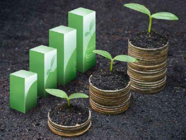 Customized Wealth Planning for High Net Worth Clients at Harbour Investment Partners