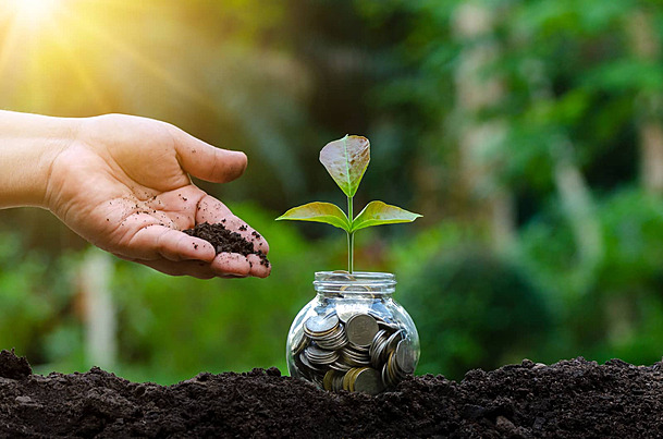 The Future of Fixed Income: Harbour Investment Partners Adapting to Changing Interest Rates