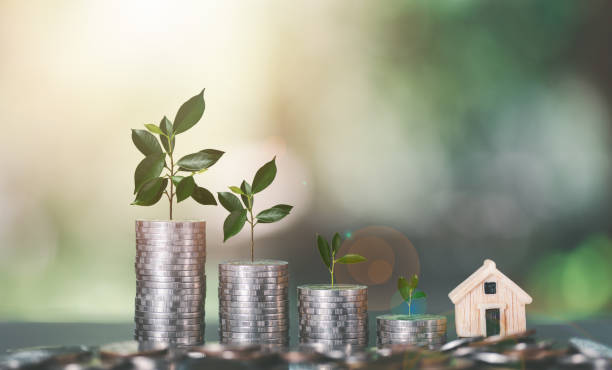The Future of Fixed Income: Harbour Investment Partners Adapting to Changing Interest Rates
