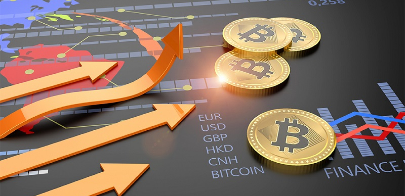 Finexgb Bewertungen bestätigen erfolgreiche Plattformstrategie